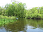 IMG 4678